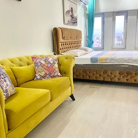 Jazzy Homes